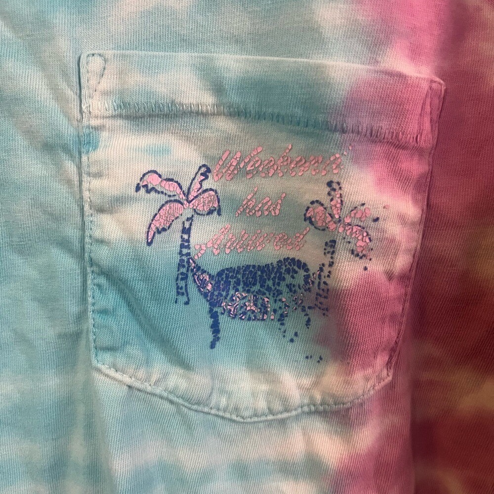 Chubbies Men's Tie Dye Long Sleeve Graphic T-Shirt- Size Small - Picture 4 of 5